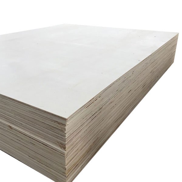 The face veneer of a sheet of birch plywood
